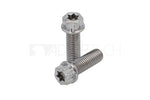 Lade das Bild in den Galerie-Viewer, Titan Schrauben M8x1,25 Grade 5 - Torx