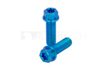 Lade das Bild in den Galerie-Viewer, Titan Schrauben M8x1,25 Grade 5 - Torx