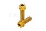 Lade das Bild in den Galerie-Viewer, Titan Schrauben M8x1,25 Grade 5 - Torx