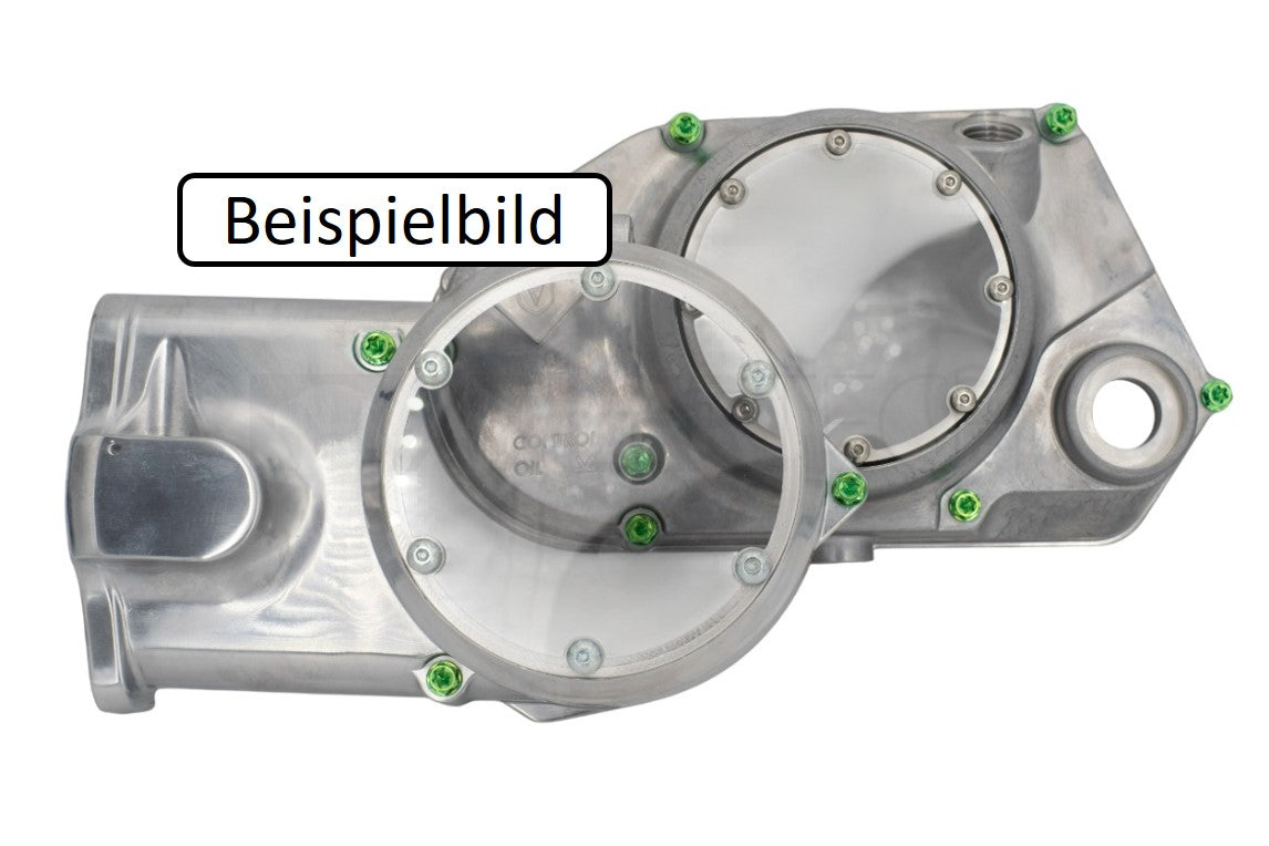 Titan Motorschrauben Seitendeckel SET Lima Getriebe M500