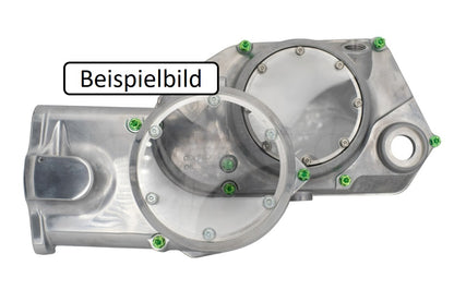 Titan Motorschrauben Seitendeckel SET Lima Getriebe M500